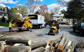 Best Tree Mulching Services  in Gardendale, TX