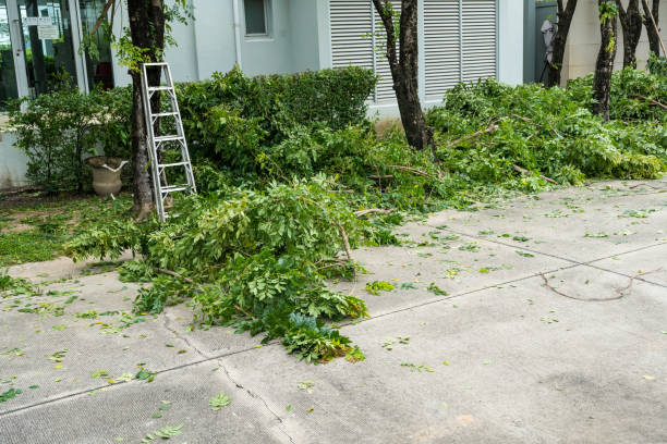 Best Seasonal Cleanup  in Gardendale, TX